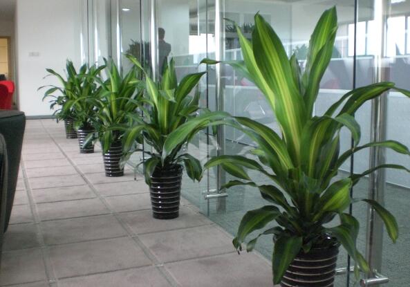 QQ截圖20220816194734 QQ截圖20220816194734