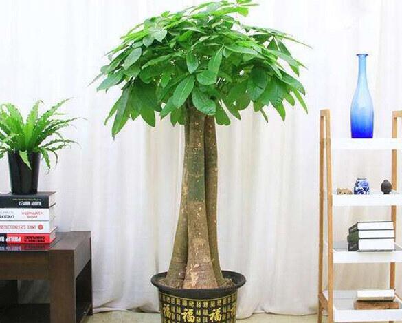 QQ截圖20220830192702 QQ截圖20220830192702