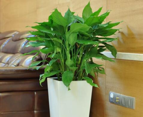 QQ截圖20220906195036 QQ截圖20220906195036