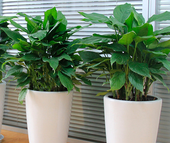 QQ截圖20221025114837