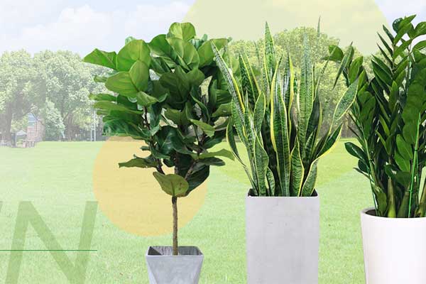 3 關(guān)于我們-集團(tuán)簡介000.jpg